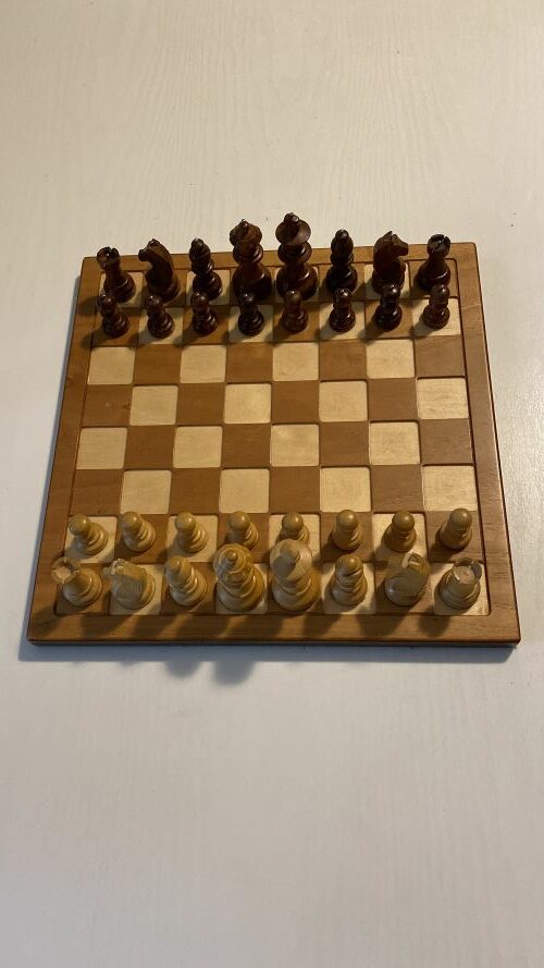 La scacchiera con gli scacchi
